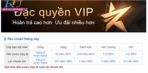 Đặc quyền khách VIP Ku11